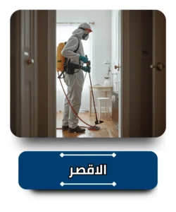 شركة مكافحة حشرات في الأقصر