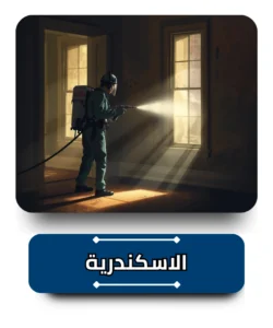 شركة مكافحة حشرات في الاسكندرية