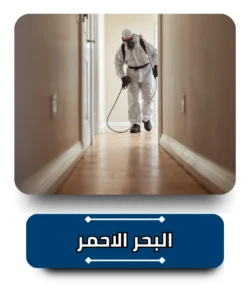شركة مكافحة حشرات في البحر الاحمر