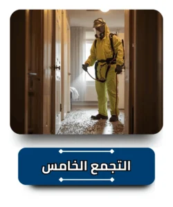 شركة مكافحة حشرات في التجمع الخامس