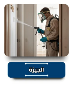 شركة مكافحة حشرات في الجيزة