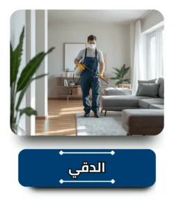 شركة مكافحة حشرات في الدقي