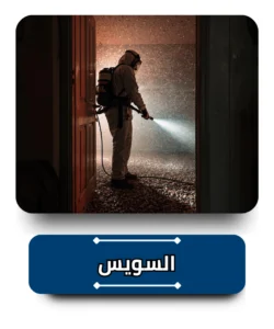 شركة مكافحة حشرات في السويس
