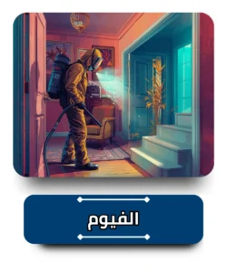 شركة مكافحة حشرات في الفيوم