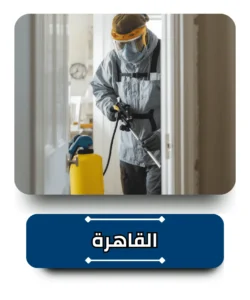 شركة مكافحة حشرات في القاهرة