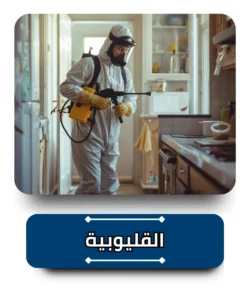 شركة مكافحة حشرات في القليوبية