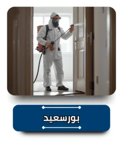 شركة مكافحة حشرات في بورسعيد
